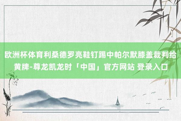 欧洲杯体育利桑德罗亮鞋钉踢中帕尔默膝盖裁判给黄牌-尊龙凯龙时「中国」官方网站 登录入口